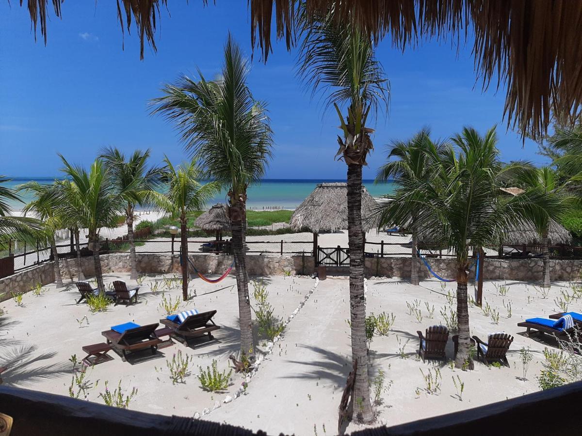 Beach Guesthouse Holbox Apartments & Suites Екстер'єр фото