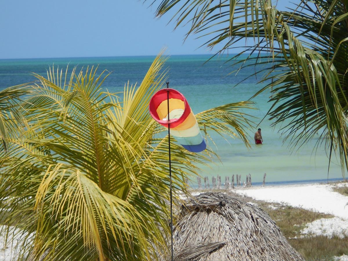 Beach Guesthouse Holbox Apartments & Suites Екстер'єр фото