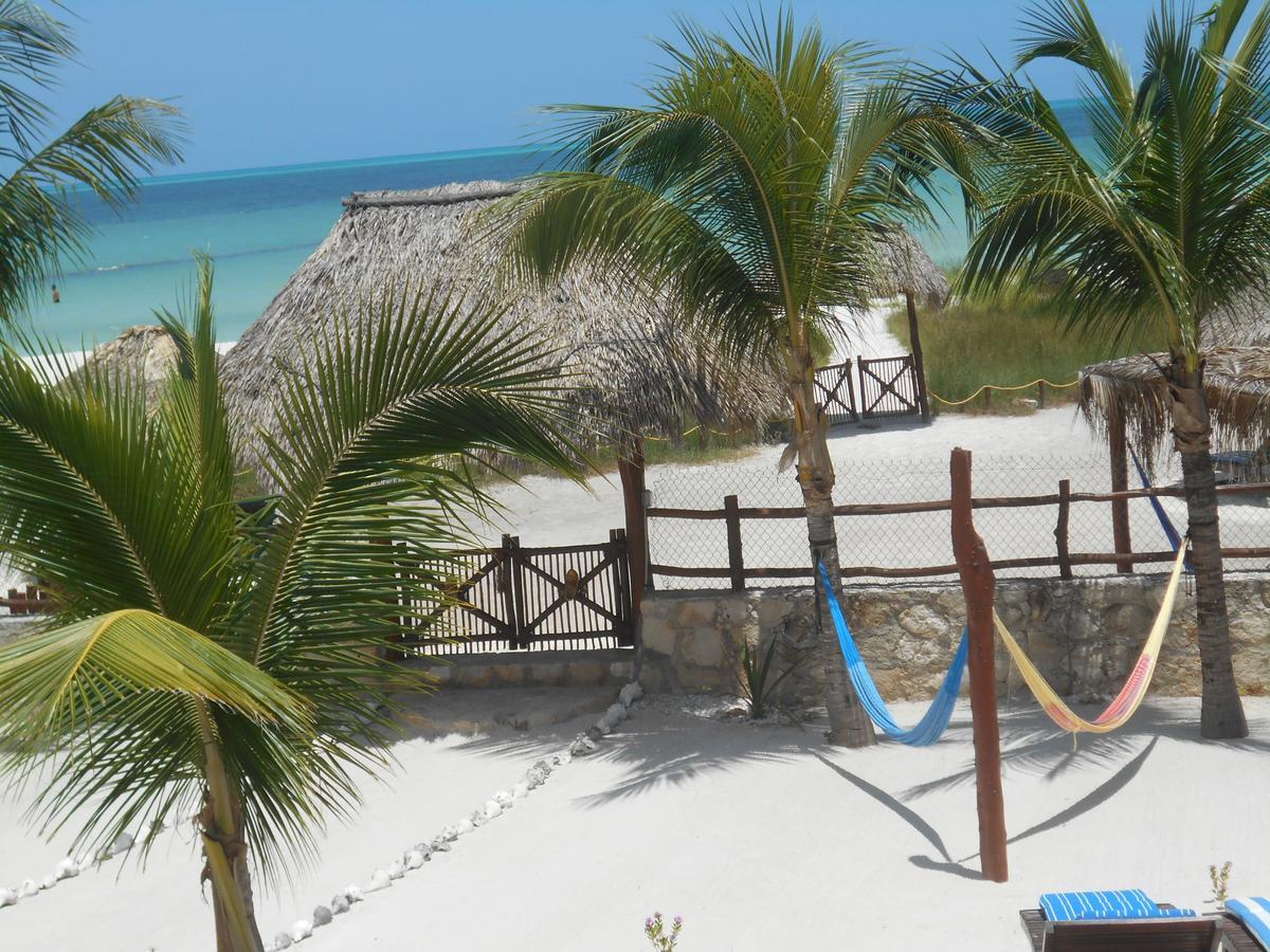 Beach Guesthouse Holbox Apartments & Suites Екстер'єр фото